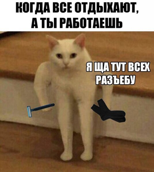 Мемы с котом