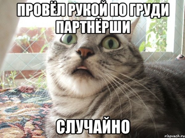 Мемы с котами постирония
