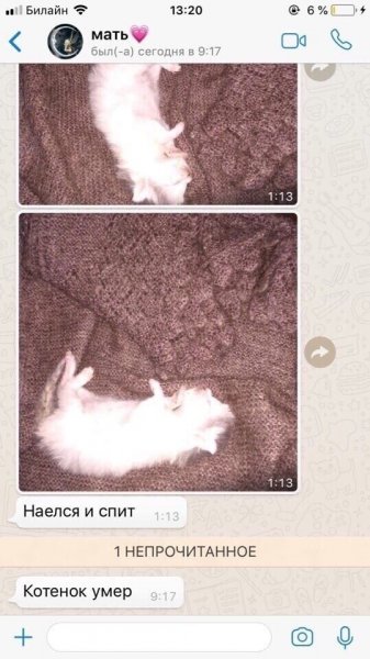Наелся и спит
