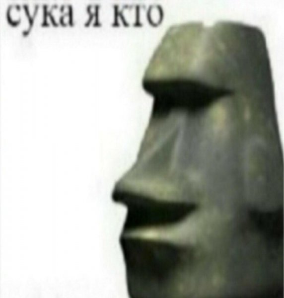 Невдупленыш Мем кот