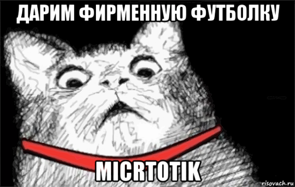 Котик Мем