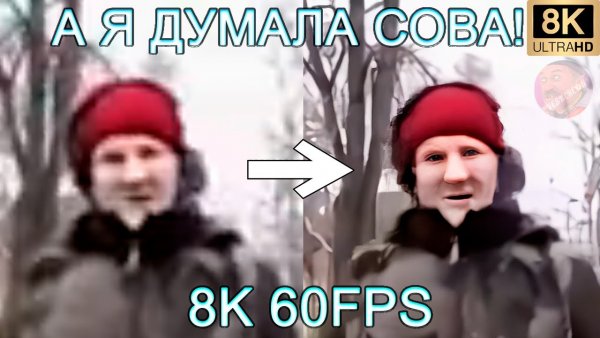 Сова а я думала Сова