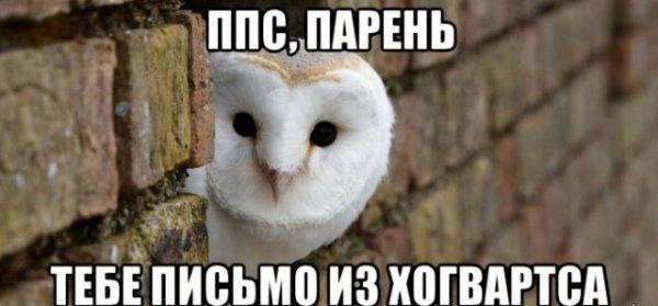 Мемы в черной рамке