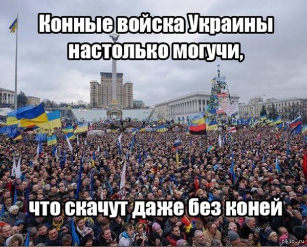 Кто в контакте тот Москаль