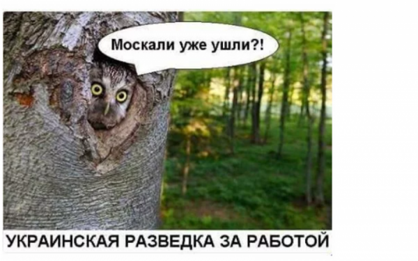 Українська розвідка Мем