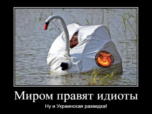 Робби злобный розвiдка