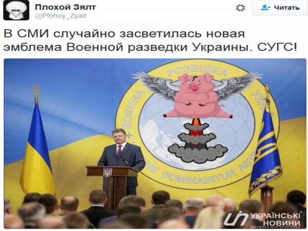 Поросенок с украинским флагом