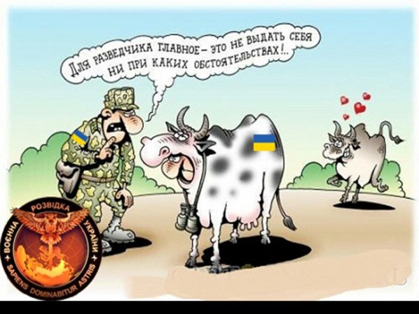 Кузя украинска розвидка