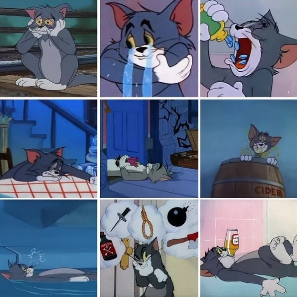 Кот том мемы