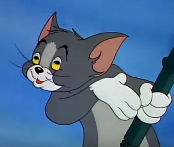 Укуренный том из Тома и Джерри