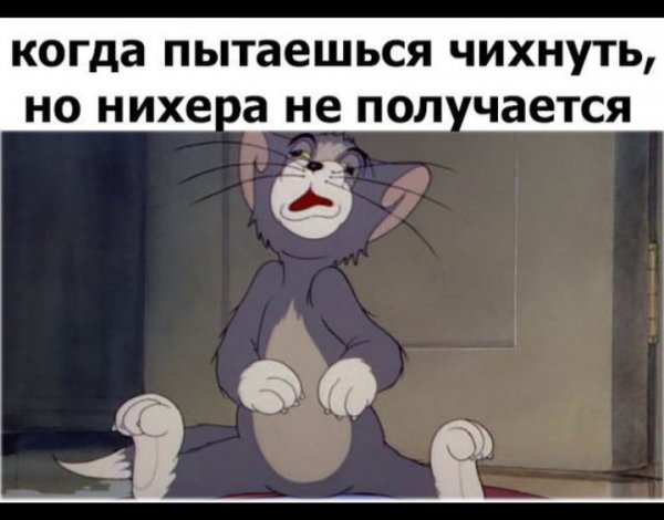 Кот том приколы