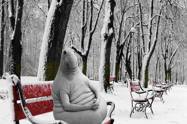 Жду зиму