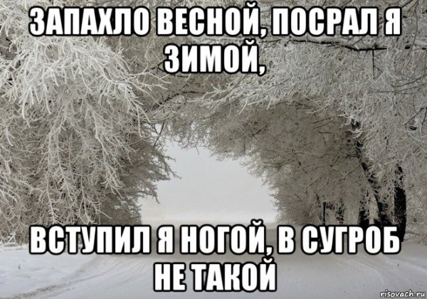 Сугроб Мем