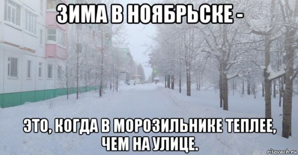 Ноябрьск мемы