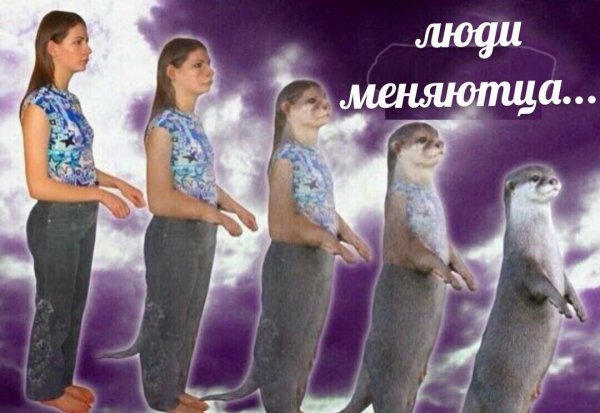 Люди меняются Мем превращение