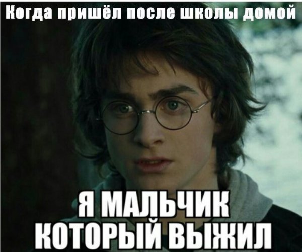 Мемы по Гарри Поттеру
