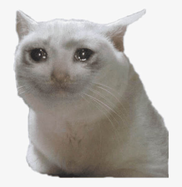 Плачущиё кот