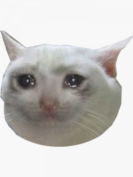 Плачущий кот