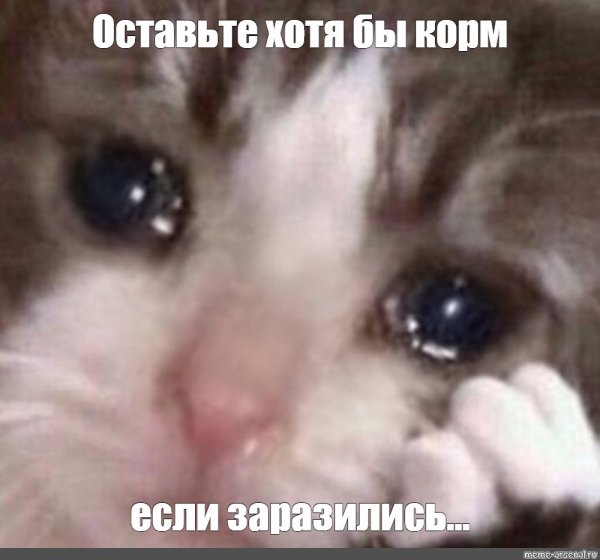 Котенок с заплаканными глазами