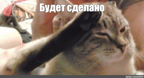 Press f кот