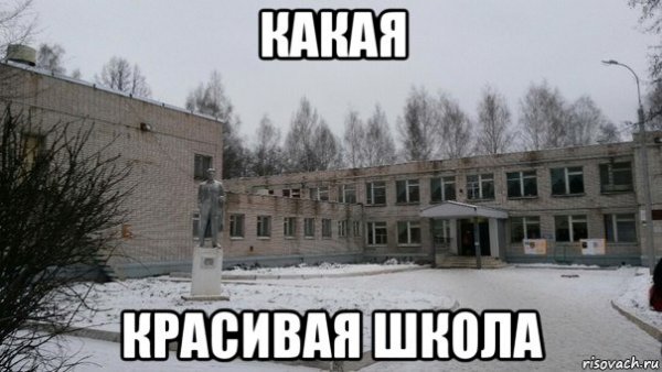 МБОУ СОШ мемы