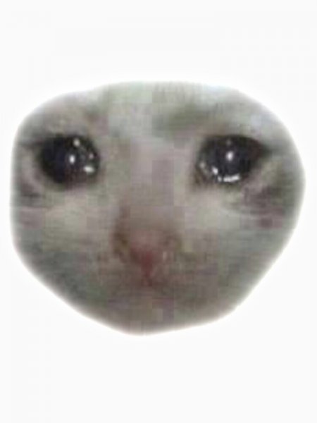 Плачущий кот Мем