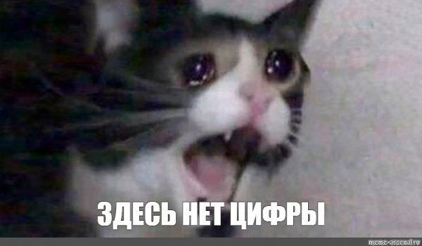 Котик плачет Мем