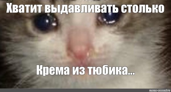 Грустный кот Мем со слезами