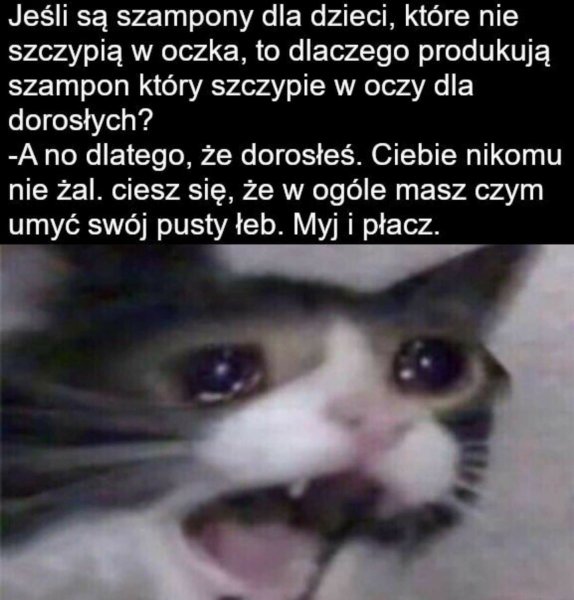 Страшный кот плачет