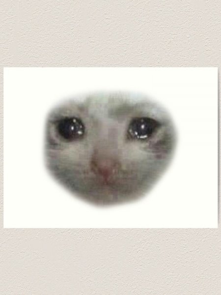 Кот плачет Мем
