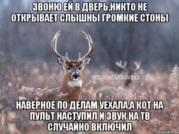 Шутки про стон