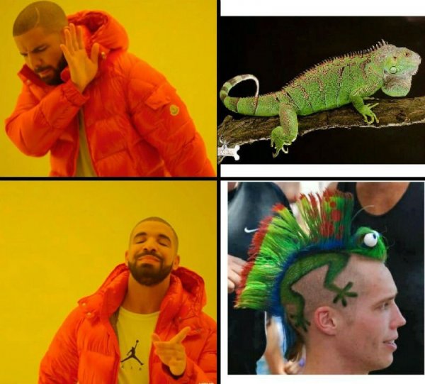 Дрейк с Дрейком