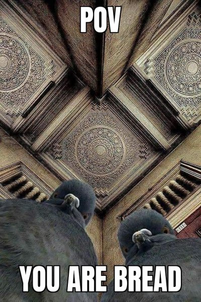 Pov Мем