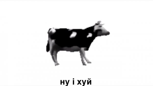 Гифка корова танцует