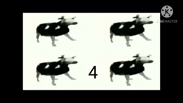 Cypis польская корова