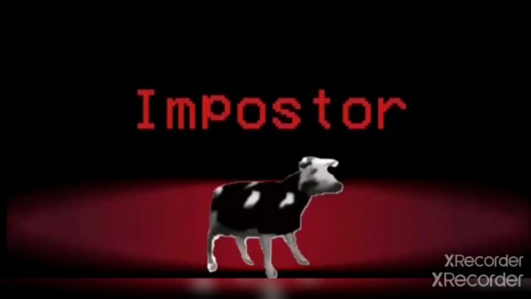 Польская корова флексит