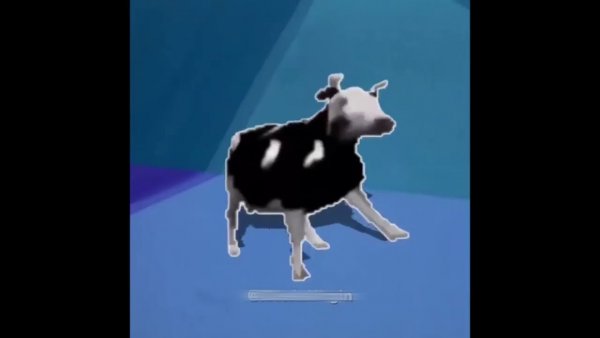 Польская корова