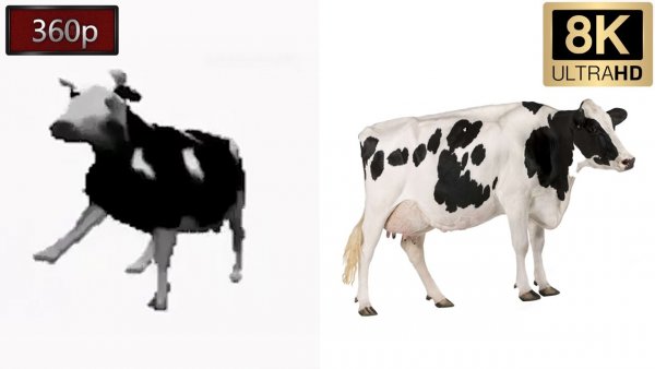 Пляшущие коровы