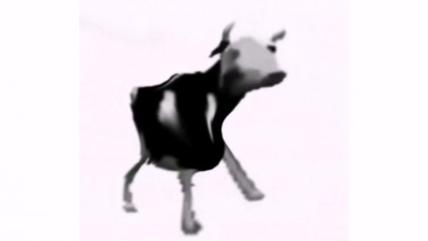 Корова танцует