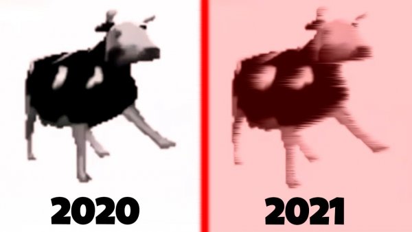 Польская корова танцует