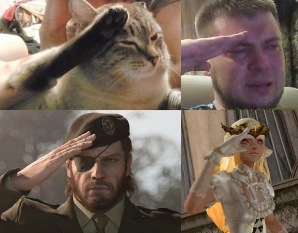 Мемы отдают честь