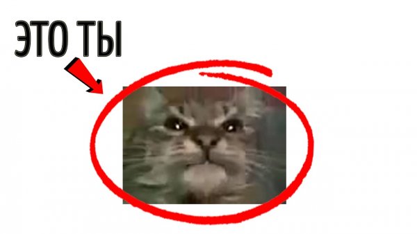 Мемы по знакам зодиака
