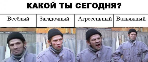 Какой ты сегодня кот