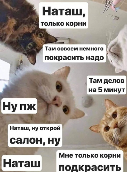 Натан Мем
