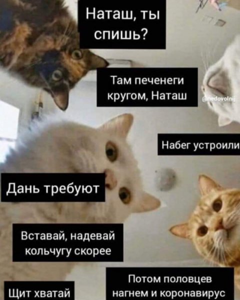 Наташа вставай
