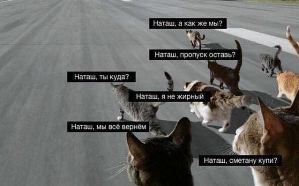 Мем Наташа вставай
