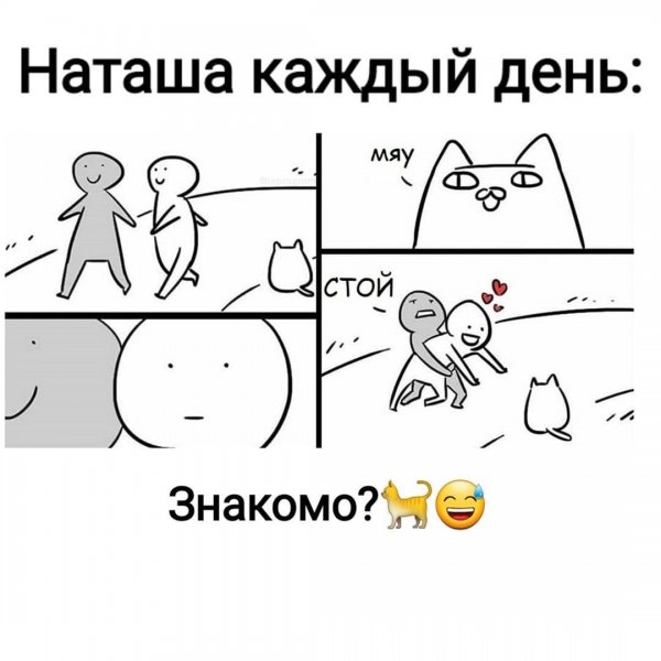 Приколы про Наташу и котов