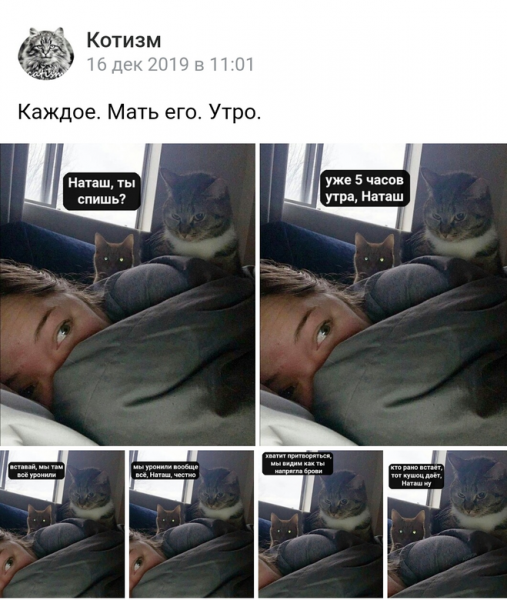 Наташа мы все уронили