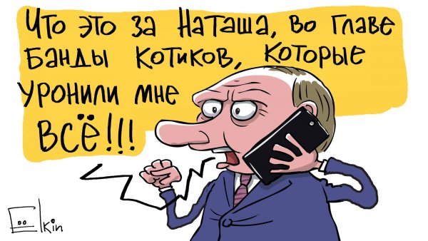 Наташа и коты мемы