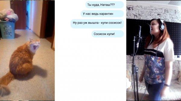 Мемы с котами и Наташей